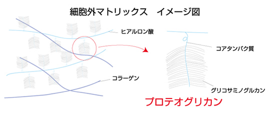 アシッド ソープ