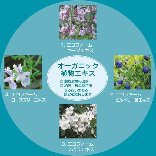 アシッド ソープ