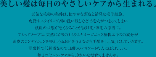 アシッド ソープ