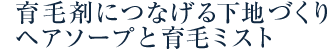 育毛剤につなげる下地作りヘアソープと育毛ミスト