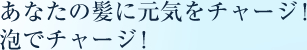 あなたの髪に元気をチャージ！泡でチャージ！