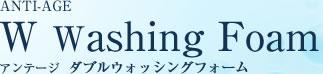 アンテージ Wウォシングフォーム