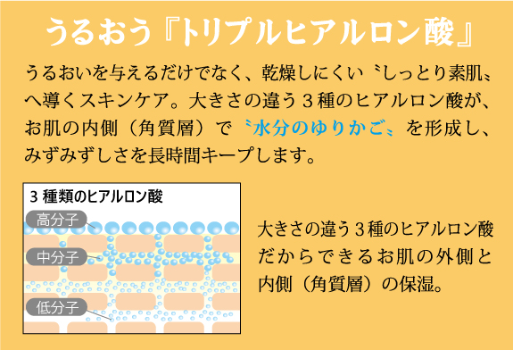 うるおう『トリプルヒアルロン酸』