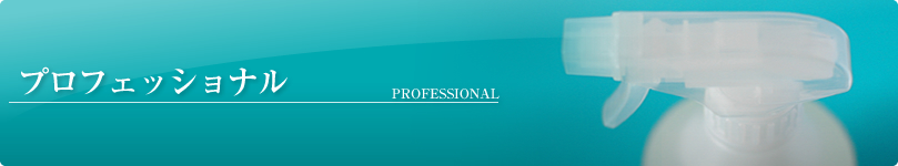 プロフェッショナル