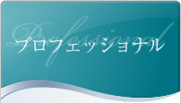プロフェッショナル